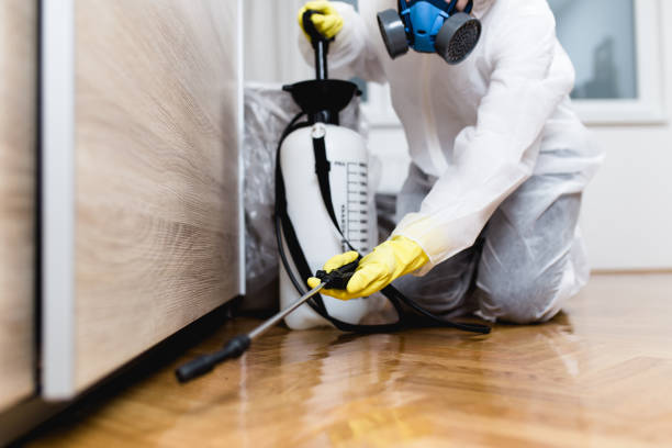 Best Pest Inspection Near Me  in North Little Rock, AR