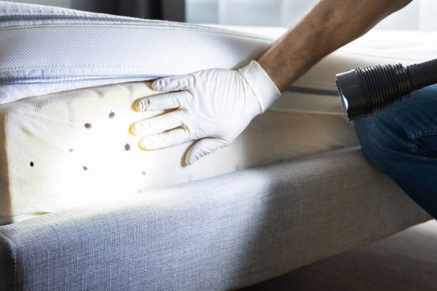 Best Wildlife Control Services  in North Little Rock, AR