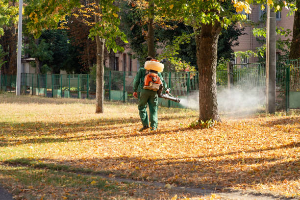 Trusted North Little Rock, AR Pest Control Experts
