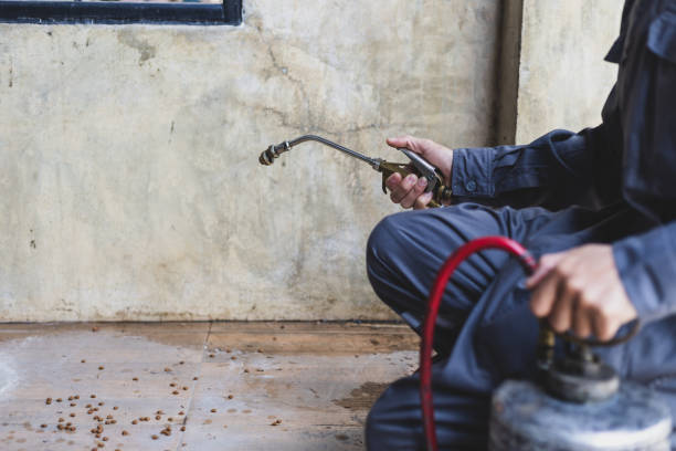 Best Exterminator Services  in North Little Rock, AR